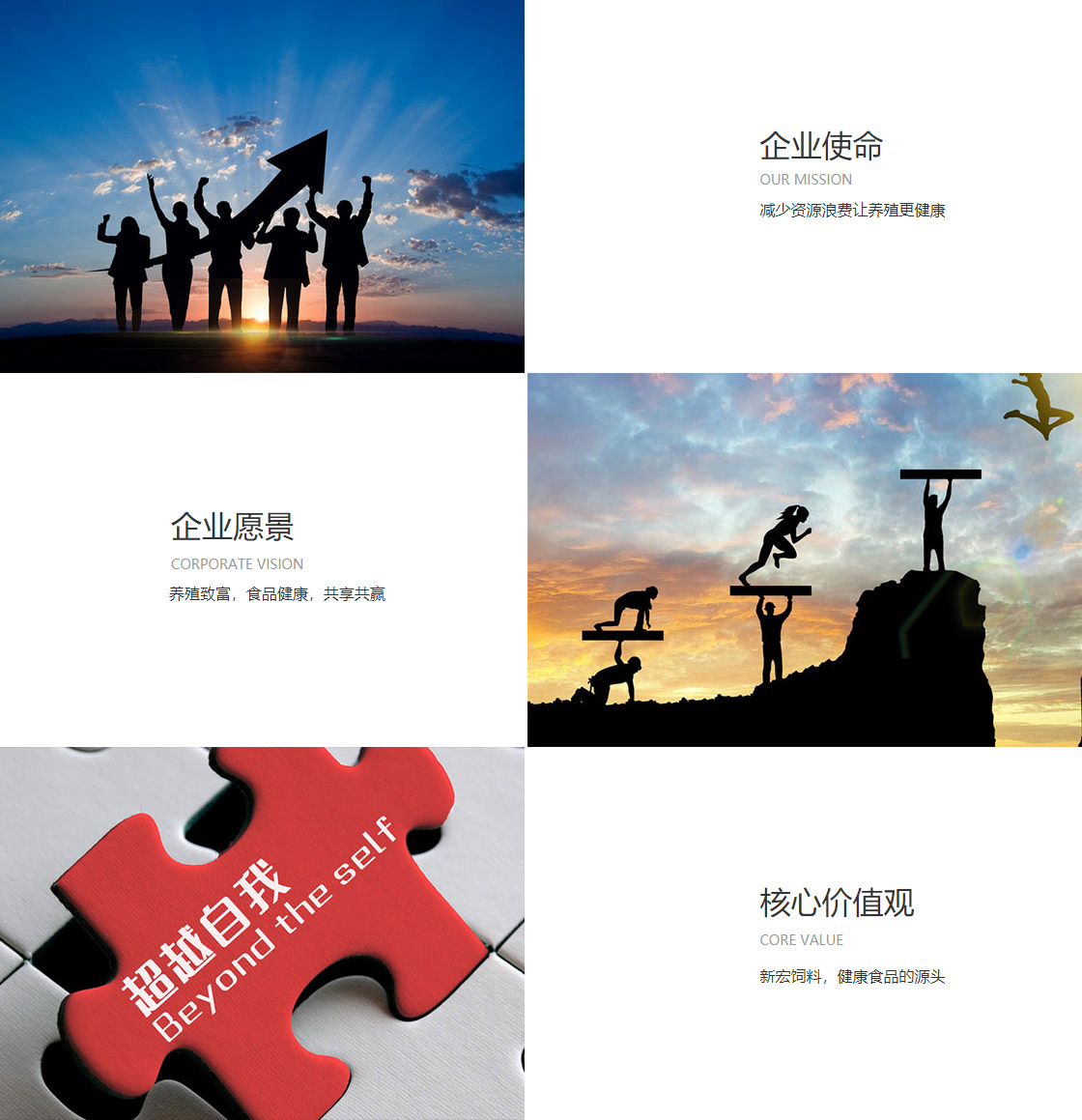 BBt贝博·艾弗森官网(图1)